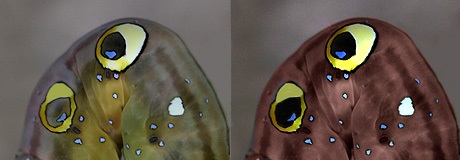 ��������B�e�@�A�P�r�R�m�n�c���@